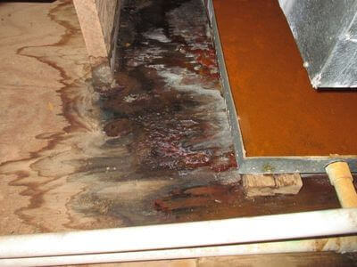 About Water Damage Experts Johns Creek - water damage restoration johns creek experts in Johns Creek